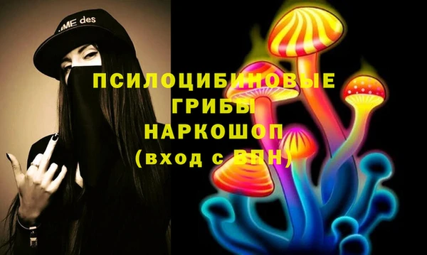 мяу мяу мука Абаза