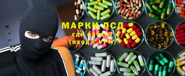 мяу мяу мука Абаза
