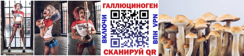Галлюциногенные грибы MAGIC MUSHROOMS  Щучье 
